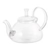 13.5oz/400 ml Glass Teapot with Removeable Metal Spout Hanging Spring